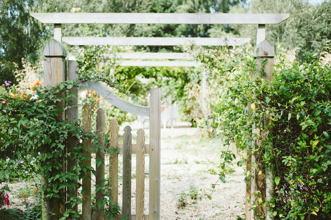 Photo Garden layout