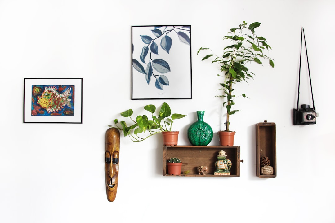 Photo Low-maintenance houseplant